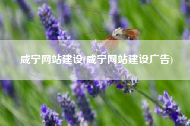 咸宁网站建设(咸宁网站建设广告)