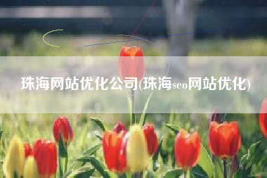 珠海网站优化公司(珠海seo网站优化)