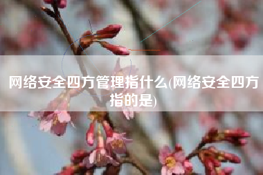 网络安全四方管理指什么(网络安全四方指的是)