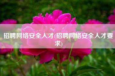 招聘网络安全人才(招聘网络安全人才要求)