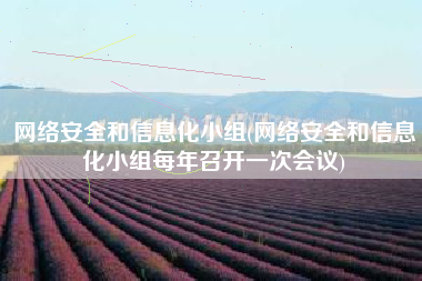 网络安全和信息化小组(网络安全和信息化小组每年召开一次会议)