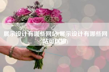 展示设计有哪些网站(展示设计有哪些网站可以做)