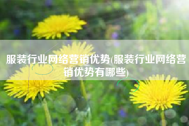 服装行业网络营销优势(服装行业网络营销优势有哪些)