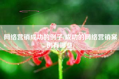 网络营销成功的例子(成功的网络营销案例有哪些)