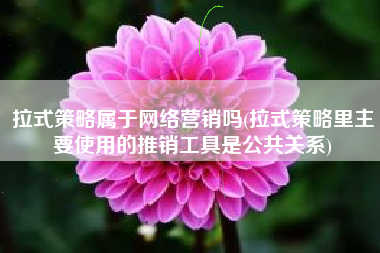 拉式策略属于网络营销吗(拉式策略里主要使用的推销工具是公共关系)
