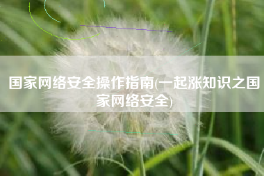 国家网络安全操作指南(一起涨知识之国家网络安全)