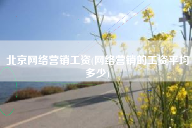 北京网络营销工资(网络营销的工资平均多少)