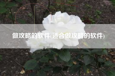 做攻略的软件(适合做攻略的软件)