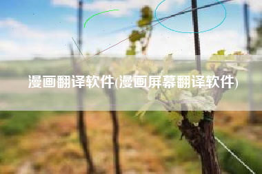 漫画翻译软件(漫画屏幕翻译软件)