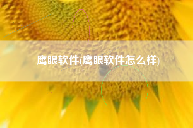 鹰眼软件(鹰眼软件怎么样)
