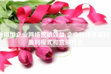 微型企业网络营销效益(企业网络营销的盈利模式和营销方式)