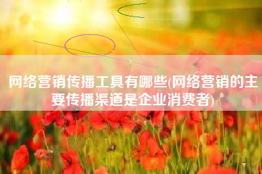 网络营销传播工具有哪些(网络营销的主要传播渠道是企业消费者)