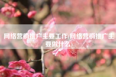网络营销推广主要工作(网络营销推广主要做什么)