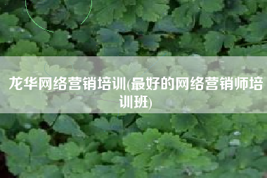 龙华网络营销培训(最好的网络营销师培训班)