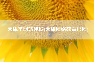 天津学网站建设(天津网络教育官网)