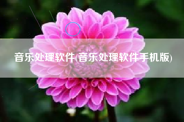 音乐处理软件(音乐处理软件手机版)