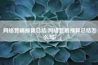 网络营销预算总结(网络营销预算总结怎么写)