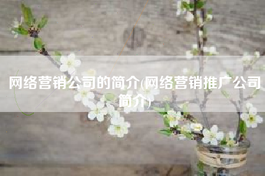网络营销公司的简介(网络营销推广公司简介)