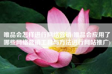 唯品会怎样进行网络营销(唯品会应用了哪些网络营销工具与方法进行网站推广)
