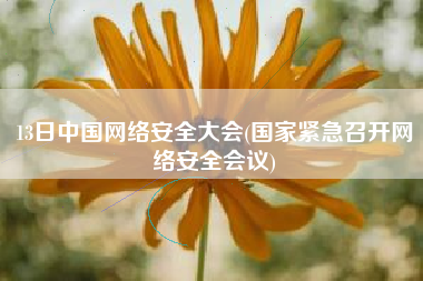 13日中国网络安全大会(国家紧急召开网络安全会议)