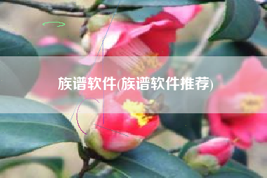 族谱软件(族谱软件推荐)