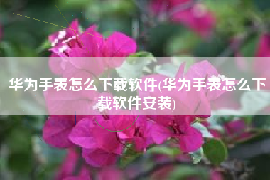 华为手表怎么下载软件(华为手表怎么下载软件安装)