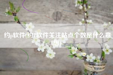 约p软件(约P软件关注站点个数是什么意思)