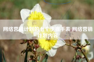 网络营销计划的七个步骤手表 网络营销计划内容