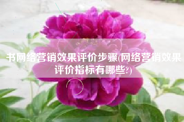 书网络营销效果评价步骤(网络营销效果评价指标有哪些?)