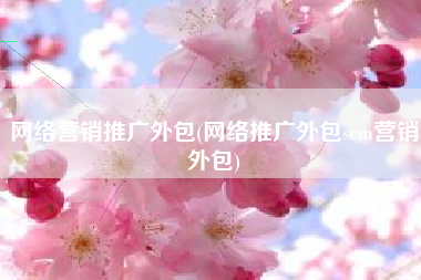 网络营销推广外包(网络推广外包sem营销外包)
