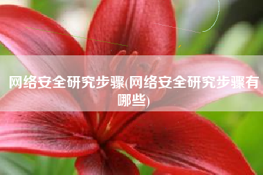 网络安全研究步骤(网络安全研究步骤有哪些)