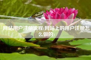 网站用户注册流程(网站上的用户注册怎么做的)