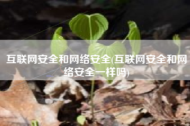 互联网安全和网络安全(互联网安全和网络安全一样吗)