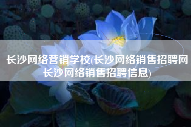 长沙网络营销学校(长沙网络销售招聘网长沙网络销售招聘信息)