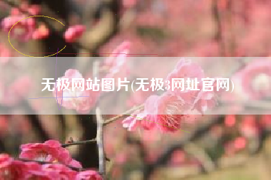 无极网站图片(无极3网址官网)