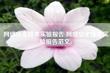 网络安全技术实验报告(网络安全技术实验报告范文)