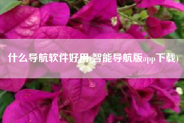 什么导航软件好用(智能导航版app下载)