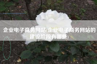 企业电子商务网站(企业电子商务网站的建设阶段有哪些)