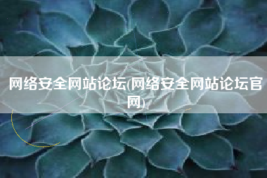 网络安全网站论坛(网络安全网站论坛官网)