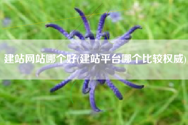 建站网站哪个好(建站平台哪个比较权威)