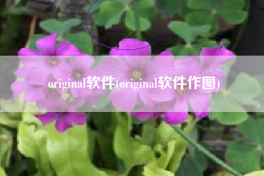 original软件(original软件作图)