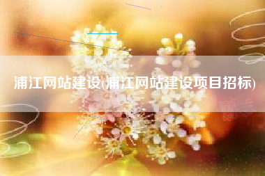 浦江网站建设(浦江网站建设项目招标)