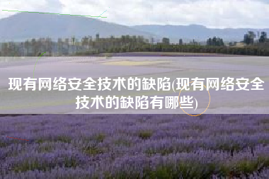 现有网络安全技术的缺陷(现有网络安全技术的缺陷有哪些)