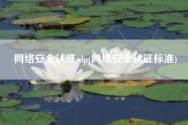 网络安全认证sdp(网络安全认证标准)