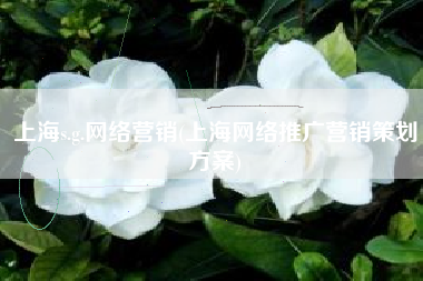 上海s.g.网络营销(上海网络推广营销策划方案)