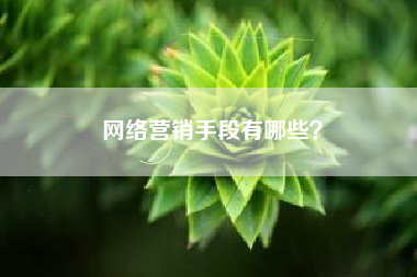 网络营销手段有哪些？