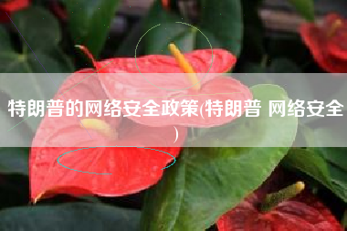 特朗普的网络安全政策(特朗普 网络安全)