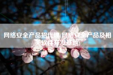 网络安全产品招代理(网络安全产品及相关软件开发基地)
