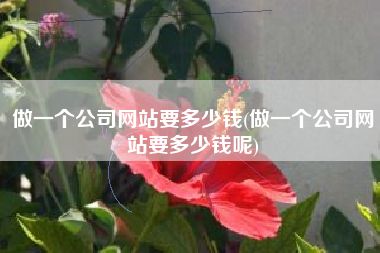 做一个公司网站要多少钱(做一个公司网站要多少钱呢)