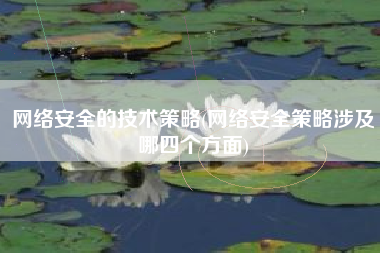 网络安全的技术策略(网络安全策略涉及哪四个方面)